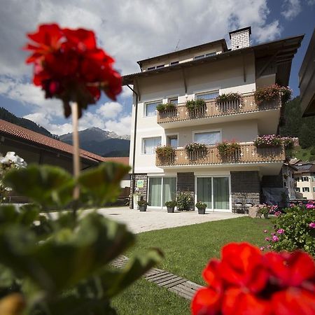 Appartamento Rose Di Bosco Predazzo Bagian luar foto